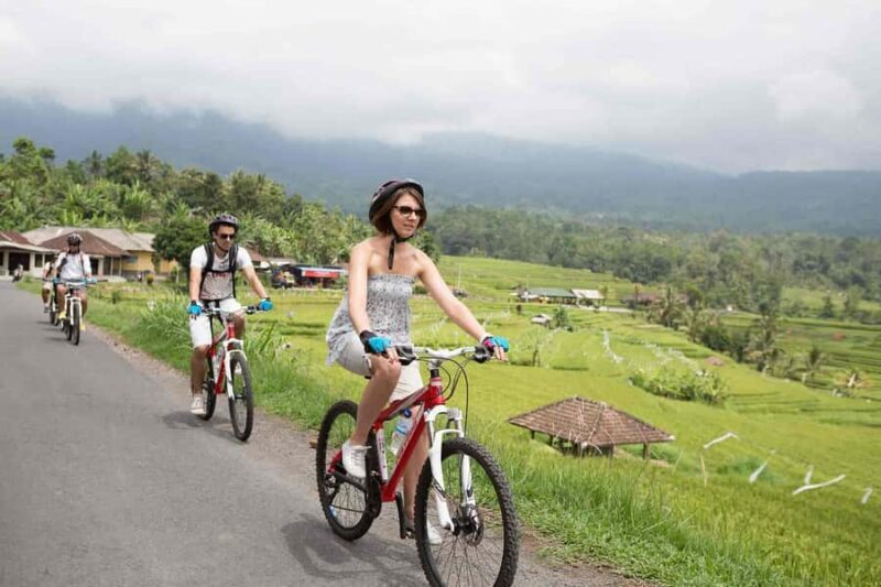 Bali: Countryside on Two Wheels Cycling Adventure - The Sum Up