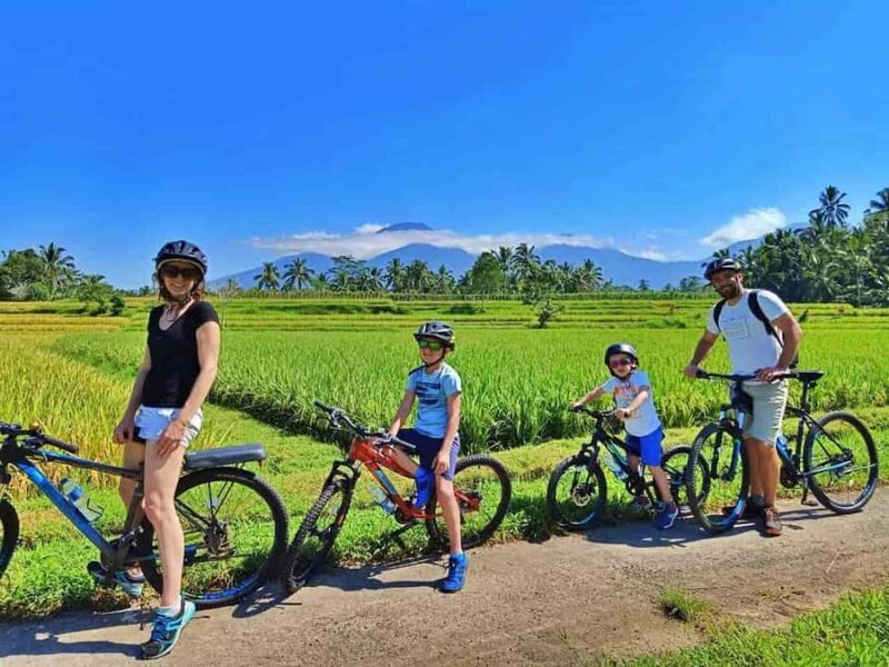 Bali: Countryside on Two Wheels Cycling Adventure - Who Should Consider This Tour?