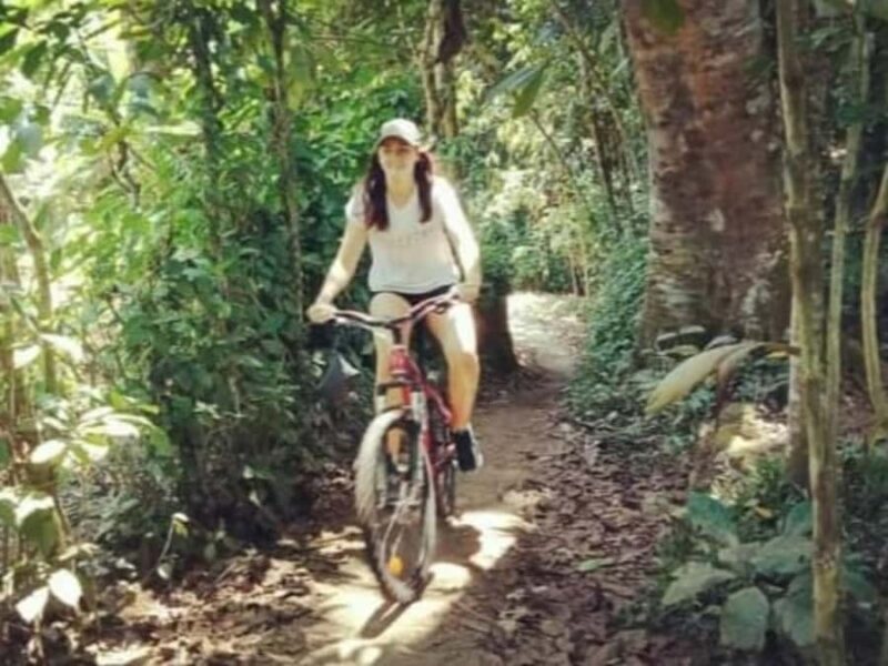 Bali: Countryside, Temple, Ricefield, Volcano with Lunch - The Sum Up