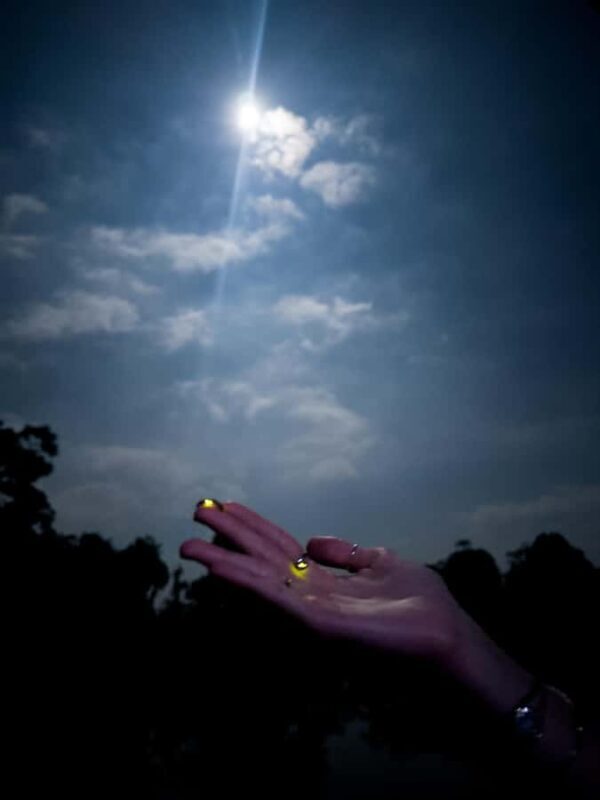 Bali: Cultural Ritual, Local Cuisine & Firefly Adventure - Who Will Love This Experience?