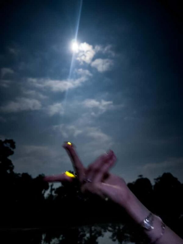 Bali: Cultural Ritual, Local Cuisine & Firefly Adventure - Detailed Breakdown of the Tour