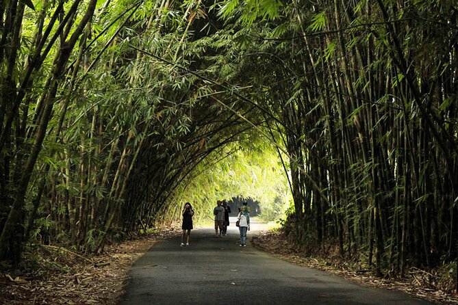 Bali Culture And Bamboo Forest Tour - Balinese Cultural Immersion