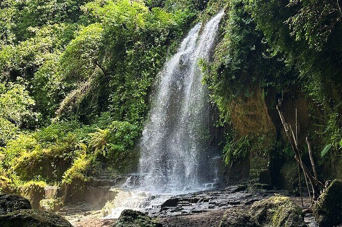 Bali Culture and Hidden waterfall Tour - Bali Culture and Hidden Waterfall Tour: An Authentic Day Around Ubud