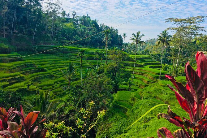 Bali Culture and Hidden waterfall Tour - Who Should Consider This Tour?