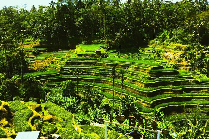Bali Culture and Hidden waterfall Tour - The Sum Up