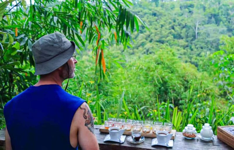 Bali: Culture Heritage Village & Holy Spring PrivateDay Tour - Relaxing at Kanto Lampo Waterfall, a Hidden Treasure  