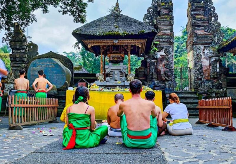 Bali: Culture Heritage Village & Holy Spring PrivateDay Tour - Final Thoughts  