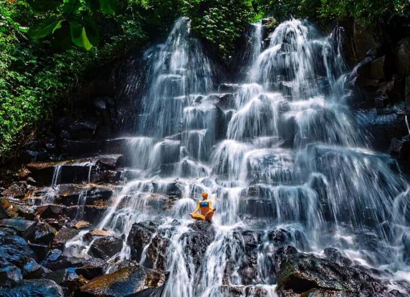 Bali: Culture Heritage Village & Holy Spring PrivateDay Tour - Good To Know