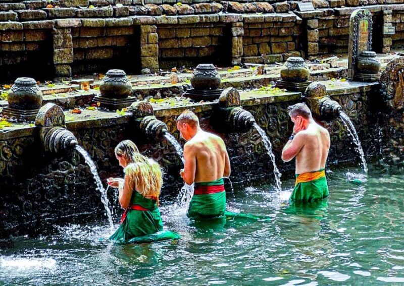 Bali: Culture Heritage Village & Holy Spring PrivateDay Tour - Practical Details & Considerations