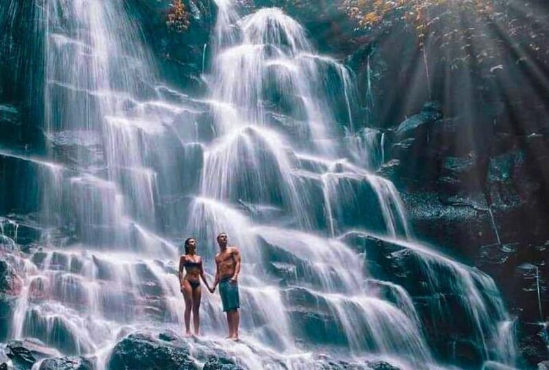 Bali: Culture Heritage Village & Holy Spring PrivateDay Tour - Who Would Love This Tour?