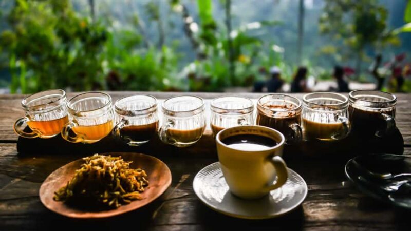 Bali Culture Tour: Plantation, Penglipuran, Kecak Dance - Who Will Enjoy This Tour?