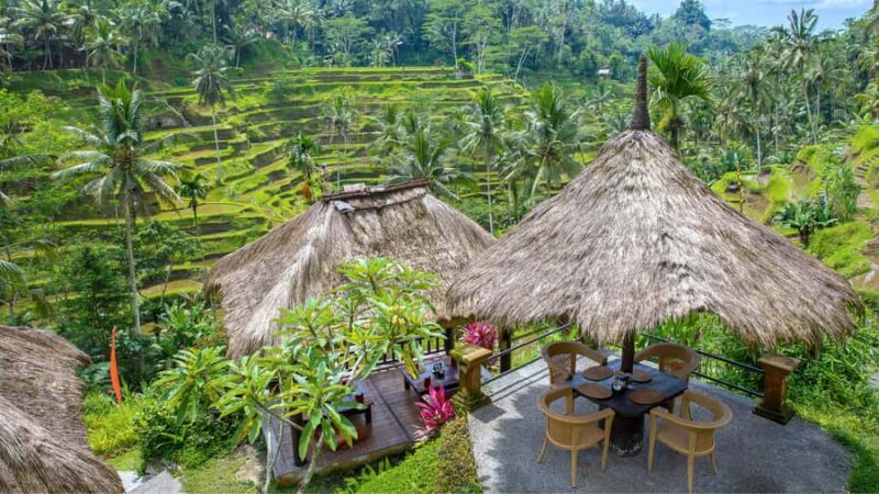 Bali Culture Tour: Plantation, Penglipuran, Kecak Dance - The Sum Up