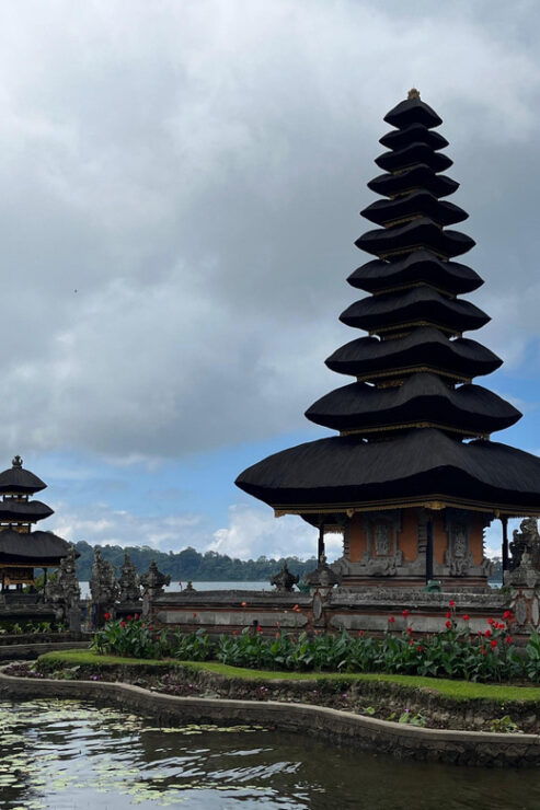 Bali: Customise Your Bali Tour With Driver-Guide - Key Points