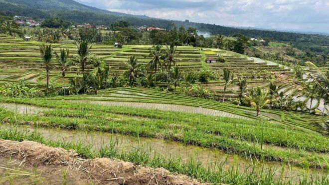 Bali: Customise Your Bali Tour With Driver-Guide - Important Information