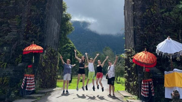 Bali: Customise Your Bali Tour With Driver-Guide - Booking Process and Tips