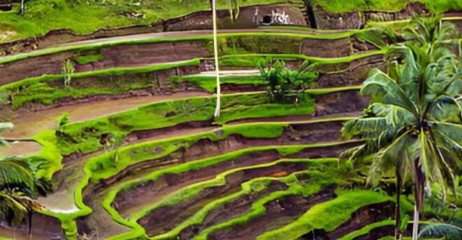 Bali: Customizable Private Tour With Transfer Service - Preparation Tips
