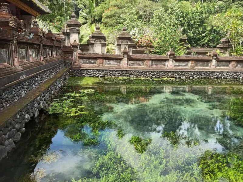 Bali: Customize Private Day Tour with Driver-Guide - Good To Know