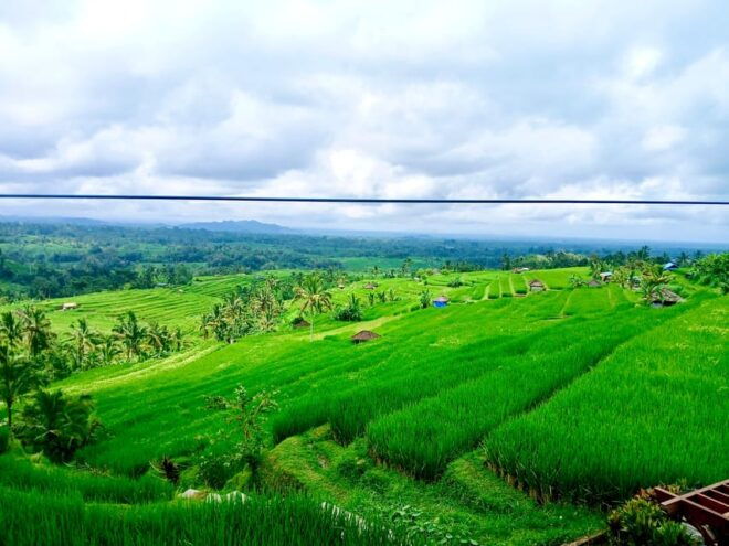 Bali: Customized Full-Day Private Tour - Booking Process and Information