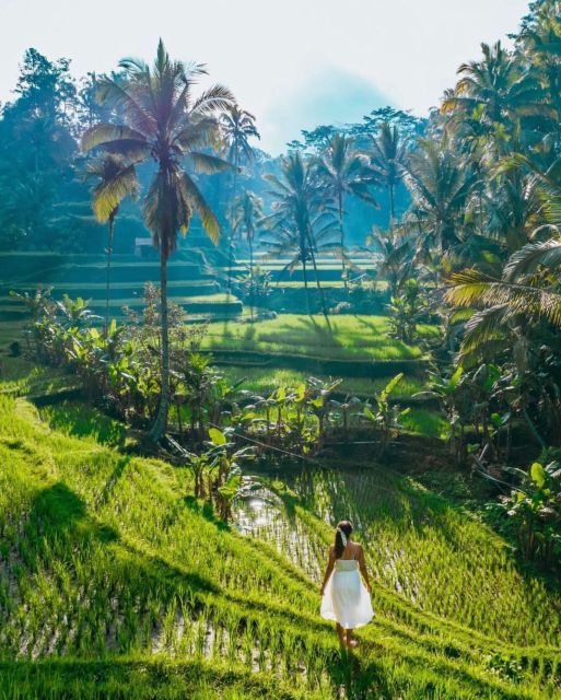 Bali Customized Full-Day Private Tour - Ideal Participants and Itinerary