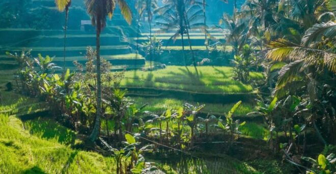 Bali Customized Full-Day Private Tour - Tour Highlights and Activities