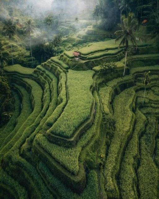 Bali: Customized Private Car Charter With Optional Guide - Customization and Itinerary