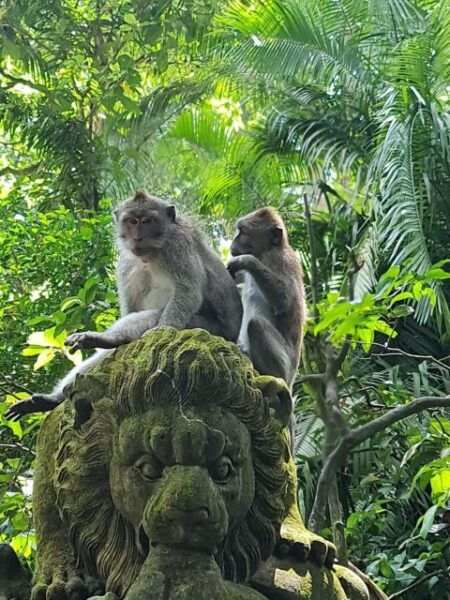 Bali: Customized Private Car Charter With Optional Guide - The Sum Up