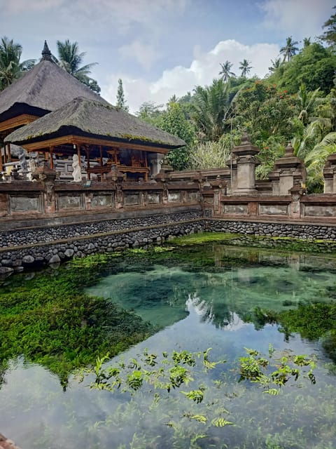 Bali: Customized Private Day Tour With Guide-Driver - Accessibility Features