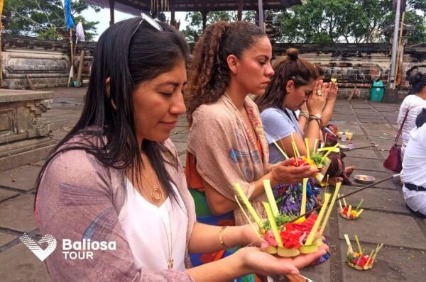 Bali: Customized Private Tour - Rating and Customer Feedback