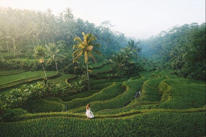 Bali Customized Private Tour: Flexible One or Multi-Day - Overall Value and Who It’s Best For