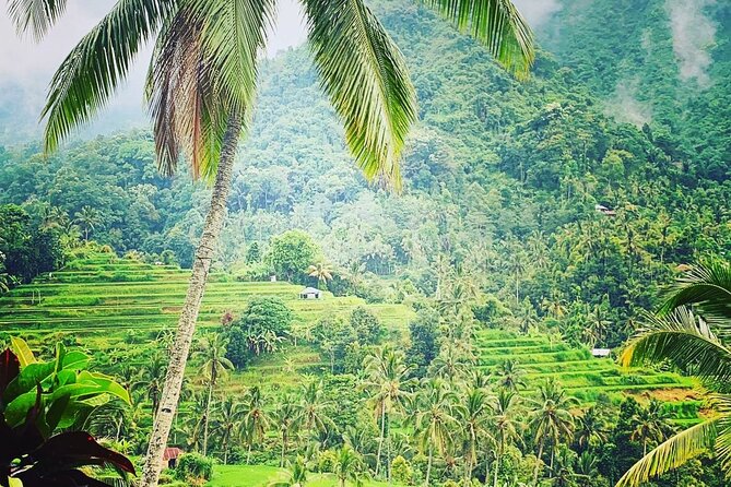 Bali : Customized Tour Sekumpul Waterfalls & Handara Gate Heaven - Tour Overview