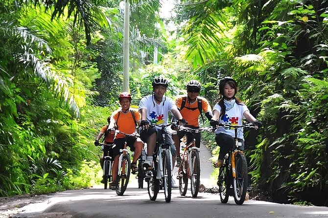 Bali Cycling and Jungle Swing Adventure Experience - Experience Highlights