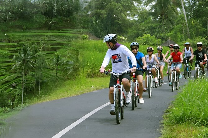 Bali Cycling and Jungle Swing Adventure Experience - Scenic Downhill Route