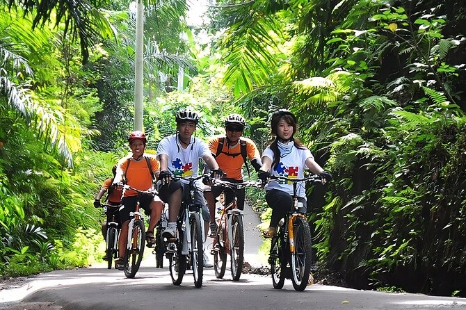 Bali Cycling and Spa Packages Experience - Cycling Route Highlights