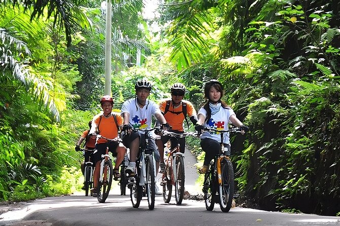 Bali Cycling and Uluwatu Sunset Tour With Dinner Packages - Restrictions and Requirements