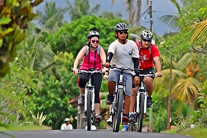 Bali Cycling and Uluwatu Tour Packages - Tour Package Highlights