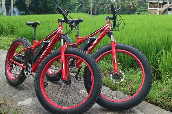 Bali Cycling Tour From Ubud to Tirta Empul With E-Bike - Tour Overview