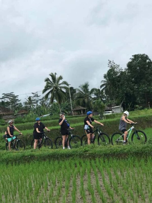 Bali: Cycling Tour with Breakfast - Why This Tour Offers Value
