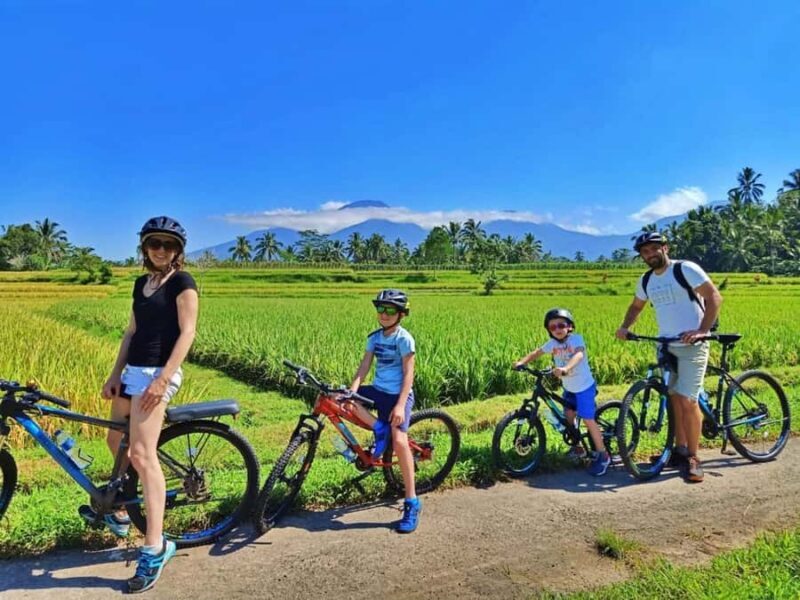 Bali: Cycling Tour with Lunch and Hotel Transfer - Final Thoughts: Who Is This Tour Perfect For?