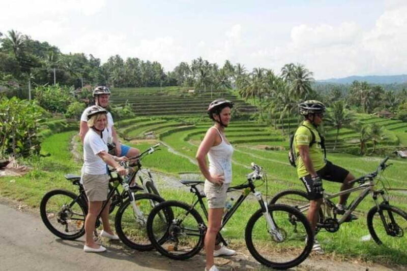 Bali: Cycling Tour with Lunch and Hotel Transfer - In Closing