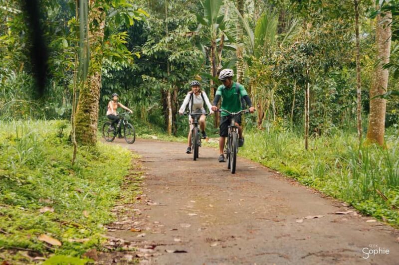 Bali: Cycling Tour with Lunch and Hotel Transfer - The Sum Up