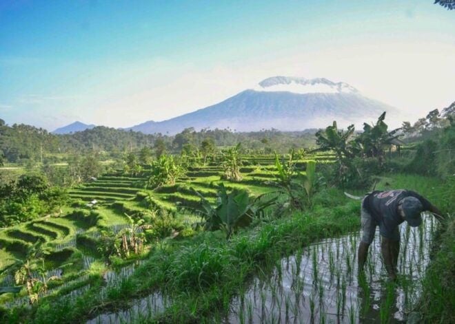 Bali: Day Excursion to East Bali With Private Car and Driver - East Bali Tour