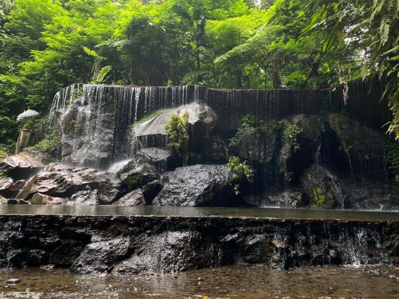 Bali Day Tour: Penglipuran, Waterfall & Monkey river - Good To Know  