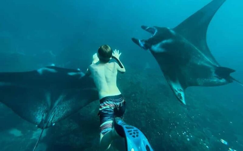 Bali Day Trip Nusa Penida with Premium Private Boat or Yacht - Practical Tips for Making the Most of Your Trip