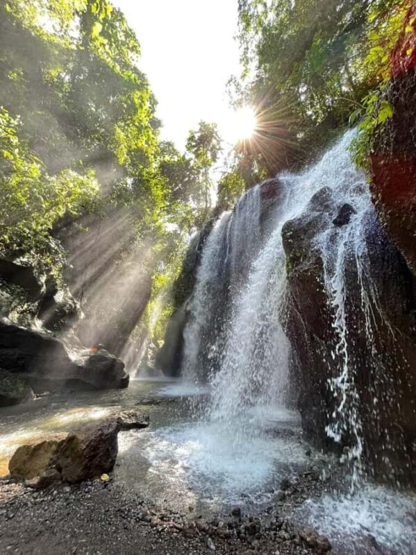 Bali : Day Trip to Besakih Temple & 2 Hidden Waterfalls - An In-Depth Look at the Tour Experience