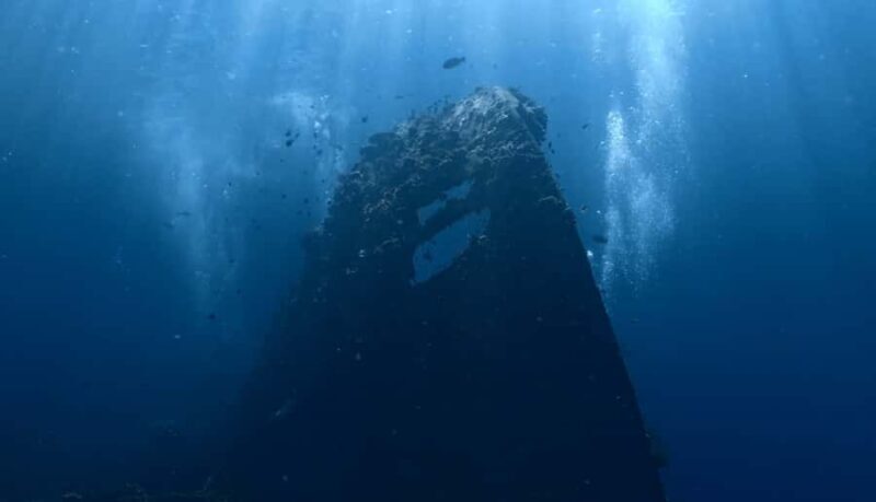 Bali Day Trip: Try Diving at Liberty Shipwreck & Kayak Trip - Deep Dive into the Highlights