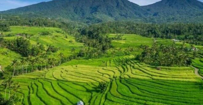 Bali : Design Your Customize Trip and Let's Do It - Immerse in Balis Culture