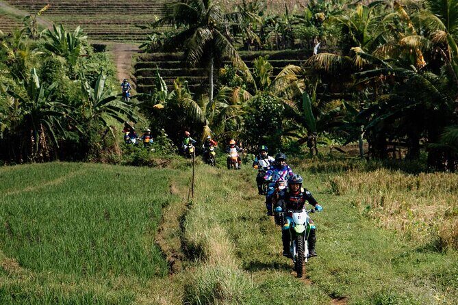 Bali Dirt Bike Motor Cross rice field, jungle and beach track - Why We Love This Bali Dirt Bike Tour