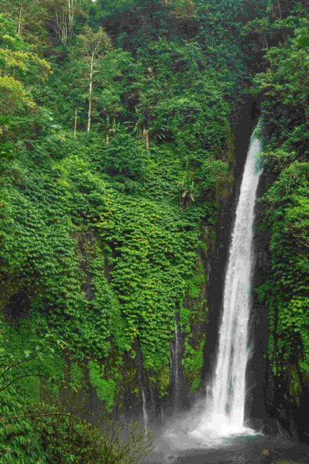 Bali: Discover Hidden Waterfalls Private All-Inclusive Tour - Important Considerations