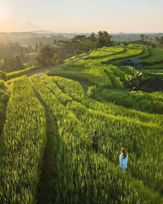 Bali: Discover Jungle Waterfalls and Rice Terraces - Good To Know