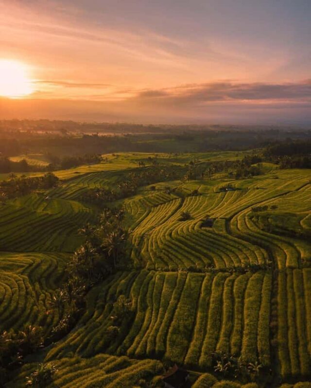 Bali: Discover Jungle Waterfalls and Rice Terraces - Final Thoughts